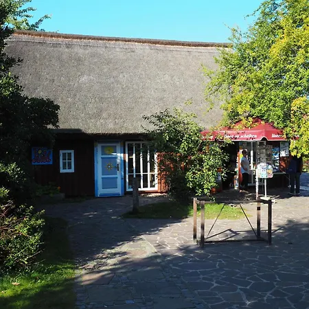 Pirol Fw 8, Pp Von Klosterstr